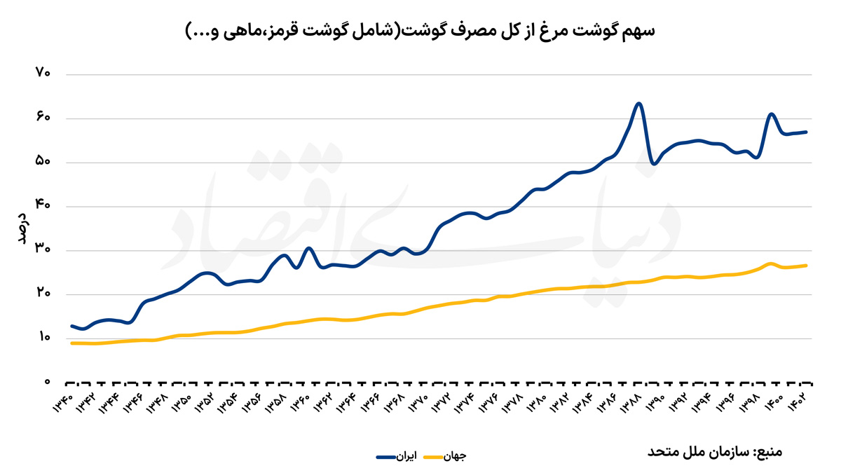 سهم+مرغ+copy