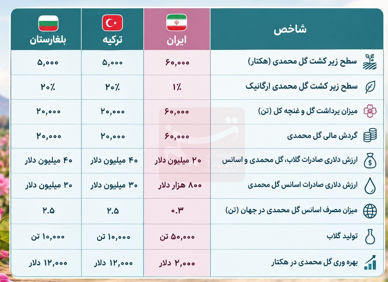 صادرات ÷