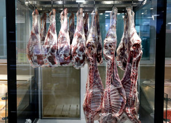 عرضه گوشت قرمز در کشتارگاه‌های رسمی به بیش از ۴۳ تن رسید
