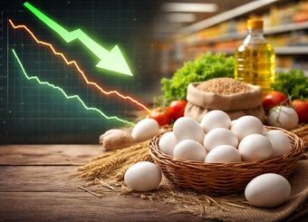ارز ترجیحی رفت، بازار آرام شد/ تخم‌مرغ با ارز آزاد ارزان‌تر از دوران ارز ترجیحی
