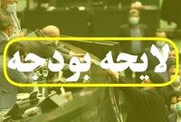 جزئیات بودجه 1405| سقف وام اشتغال خرد ثابت ماند
