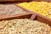 نرخ محاسبات حقوق ورودی نهاده‌های دامی و کالاهای اساسی تغییر کرد
