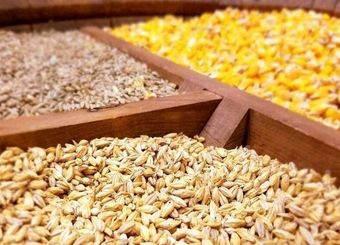 نرخ محاسبات حقوق ورودی نهاده‌های دامی و کالاهای اساسی تغییر کرد
