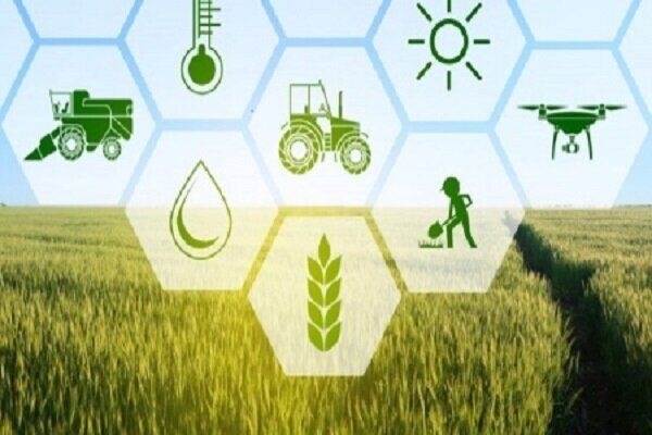 پرداخت ۱۵ هزار میلیارد ریال غرامت به کشاورزان خسارت‌دیده