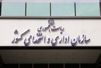 کارمندانی که پست خیلی مهمی ندارند میتوانند دورکار بمانند/ سخنگوی سازمان اداری و استخدامی خبر داد
