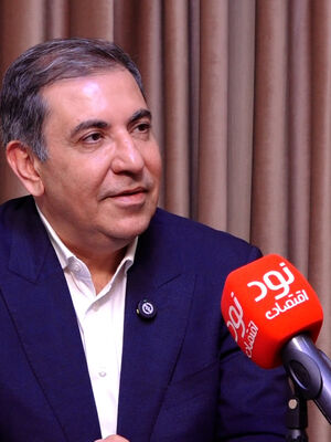 ۴۰۰ دستورالعمل ارزی در ۷ سال؛ بانک مرکزی کارخانه مقرره‌سازی