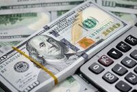 حذف ارز چندنرخی به نفع فعالان اقتصادی واقعی است
