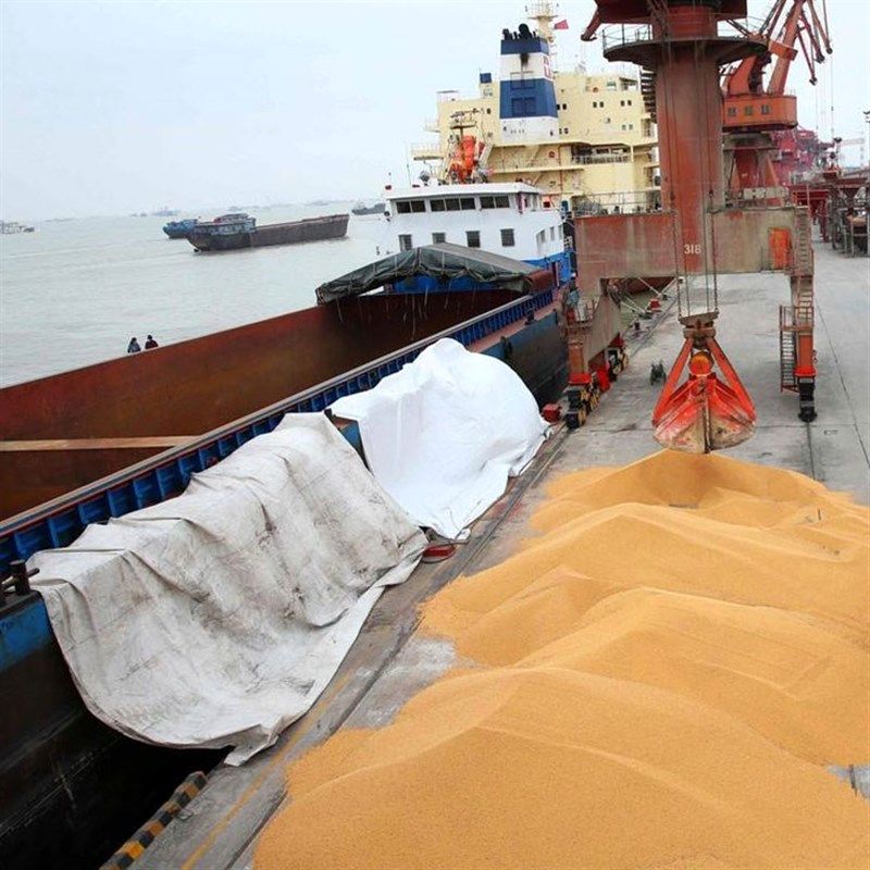 افشای تسلط یک گروه مافیایی بر بازار نهاده‌های دامی
