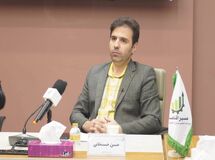 سردرگمی ارزی دولت/ حسن‌خانی: به نام تک‌نرخی‌سازی، شوک ارزی ایجاد نکنیم
