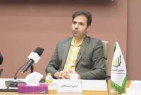 سردرگمی ارزی دولت/ حسن‌خانی: به نام تک‌نرخی‌سازی، شوک ارزی ایجاد نکنیم

