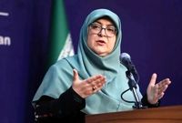 مهاجرانی: قطع برق و گاز صنایع ممنوع است
