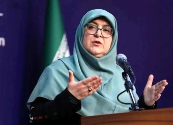 مهاجرانی: قطع برق و گاز صنایع ممنوع است
