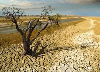 این استان در آستانه خشکسالی شدید / تلاش برای بارورسازی ابرها کافی است؟
