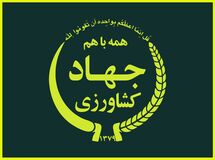 سقف واردات دانه‌های روغنی و کنجاله افزایش یافت
