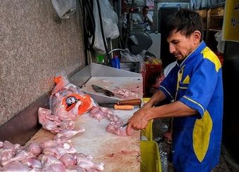 کاهش قیمت مرغ در بازار / هر کیلو مرغ گرم ۲۱۰ هزار تومان شد