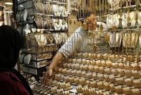 آخرین قیمت طلا،سکه امروز ۱۲ آذر