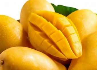 واردات انبه از کنیا مجاز شد
