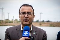 معاون وزیرجهاد: محموله گوشت آلوده مغولستان این هفته تعیین تکلیف میشود