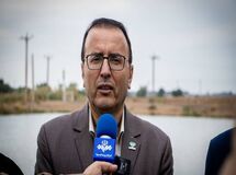معاون وزیرجهاد: محموله گوشت آلوده مغولستان این هفته تعیین تکلیف می‌شود
