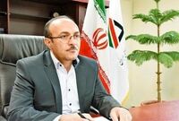 ترخیص خودرو در گمرک از سر گرفته شد
