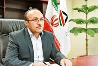 ترخیص خودرو در گمرک از سر گرفته شد
