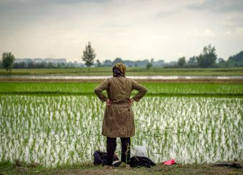 ۳۰۰ هزار حلقه چاه غیرمجاز در کشور/ خطر از بین رفتن کشاورزی در بسیاری از نقاط

