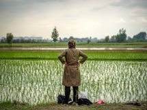 ۳۰۰ هزار حلقه چاه غیرمجاز در کشور/ خطر از بین رفتن کشاورزی در بسیاری از نقاط
