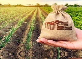 ۲۵۰ میلیارد تومان غرامت بیمه آبزیان پرداخت شد

