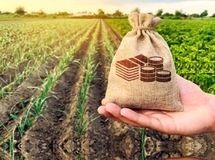 ۲۵۰ میلیارد تومان غرامت بیمه آبزیان پرداخت شد
