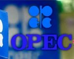 اوپک‌پلاس تولید نفت را ثابت نگه داشت؛ سیاست ثبات در سایه بحران‌ها