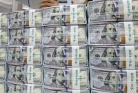 دولت تبعات حذف ارز ترجیحی را جبران کند