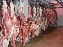 تامین پایدار گوشت، مرغ، لبنیات و تخم مرغ