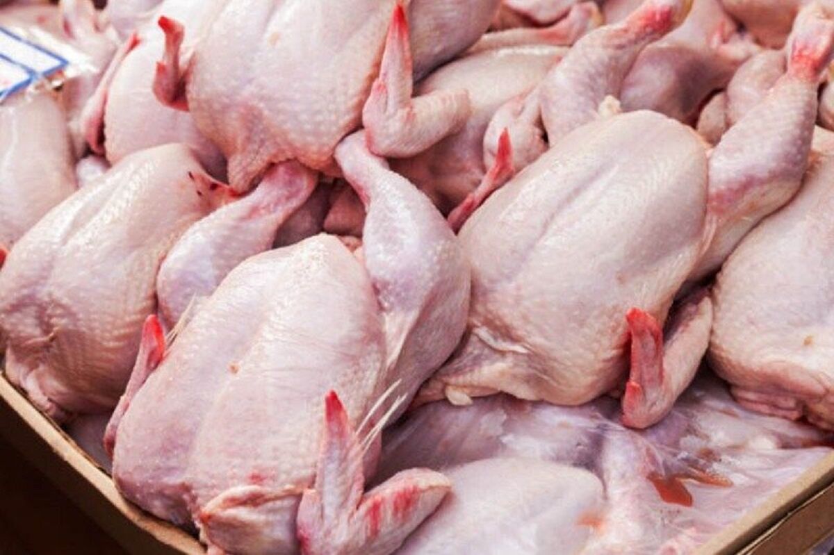 قیمت گوشت مرغ؛ امروز ۱۴ مرداد 