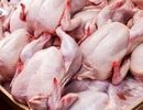 قیمت گوشت مرغ؛ امروز ۱۴ مرداد 