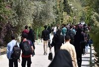 هر چه با سوادتر بیکارتر؛ ۵۱ درصد بیکاران، فارغ‌التحصیلان دانشگاه هستند
