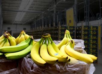 ثبت سفارش موز، قهوه و دانه کنجد فردا آغاز می‌شود
