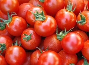 موز، گوجه و پیاز در 48 ساعت اخیر 1000تومان گران شد
