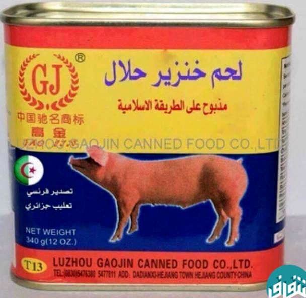 واردات ژلاتین خوکی تولیدکننده ایرانی را ورشکست کرد/ دولت حلال بودن ژلاتینهای خارجی را بررسی نمیکند