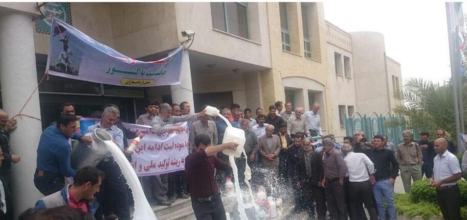 اعتراض دامداران به دلیل واردات بیش از حد است/ در 30 روز گذشته 13000 تن شیرخشک وارد کشور شد