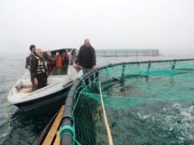 سهم ناچیز پرورش ماهی در قفس از تولید کل آبزیان در کشور