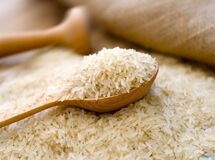 واردات 700 هزار تن برنج تایلندی راهکار دولت روحانی برای مقابه با گرانی برنج!