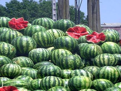 هندوانه در آستانه ماه رمضان گران شد/ هر کیلو هندوانه به 1350 تومان رسید