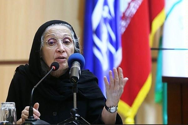 کنایه سنگین یک نظریه پرداز صاحب نام اقتصادی به دولت: اگر اقتصاد مقاوم شد "من کله خود را میشکنم"