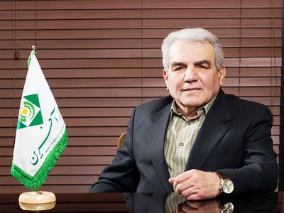 بیمه کارآفرین 600 نمایندگی خود را تعدیل کرد/ سهامیان مقدم از رفتن به بیمه تعاون انصراف داد