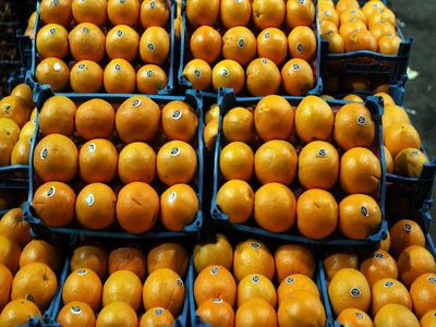 واردات چند هزار تن پرتقال یخ زده ترکیه‌ای به ایران!/ دولت روحانی پرتقال ترکیه‌ای را به پرتقال مازندران ترجیح داد