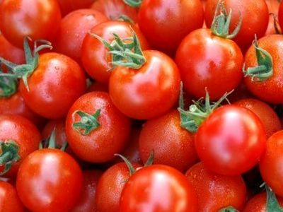 قیمت گوجه فرنگی از 7000 تومان رد شد!/ داد مردم از گرانی گوجه درآمد