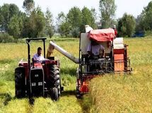15700 میلیارد ریال تسهیلات به بنگاه های اقتصادی کوچک پرداخت شد