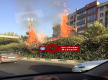 رشد 500 درصدی تعداد بیمه نامه های آتش سوزی بیمه سامان