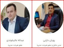 دارابی از سرمایه‌گذاری صنعت بیمه رفت/ عالیشوندی مدیر عامل شد!