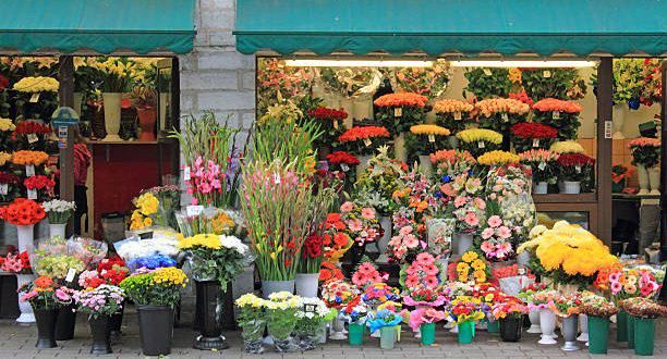 افزایش ۶۰ تا ۱۰۰ درصدی قیمت انواع گل